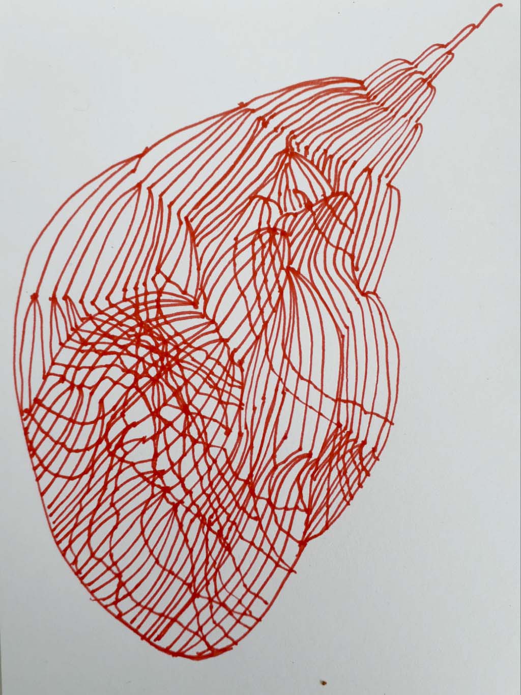 Covid Heart