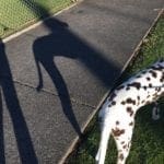 Exploring Ideas