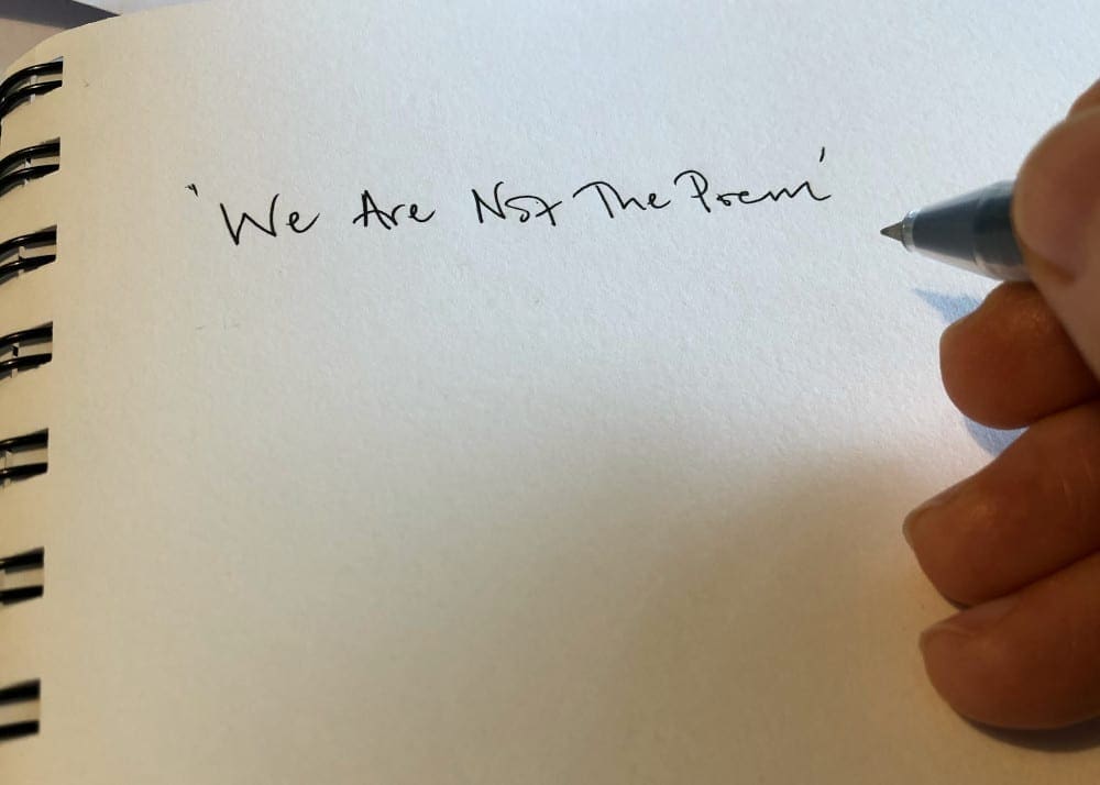 We Are Not The Poem