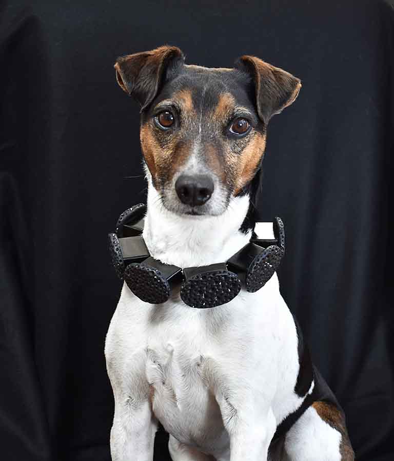 1 Caroline_Thomas_Fred wearing Ruff