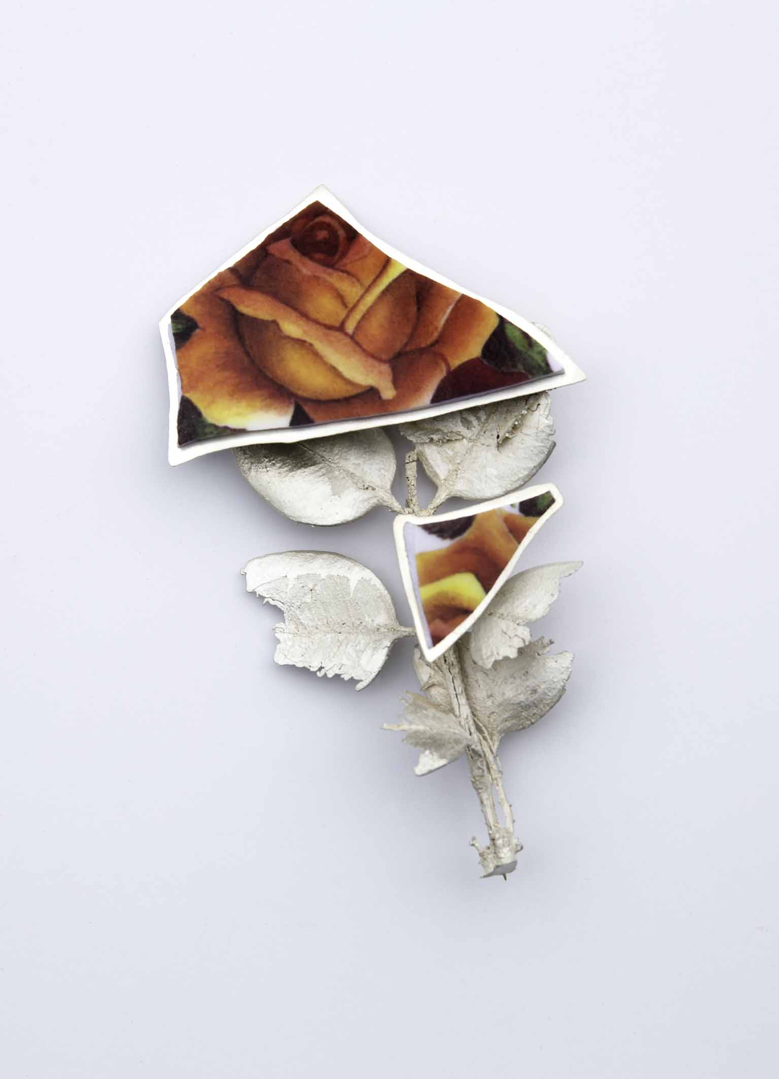 Broken rose 2