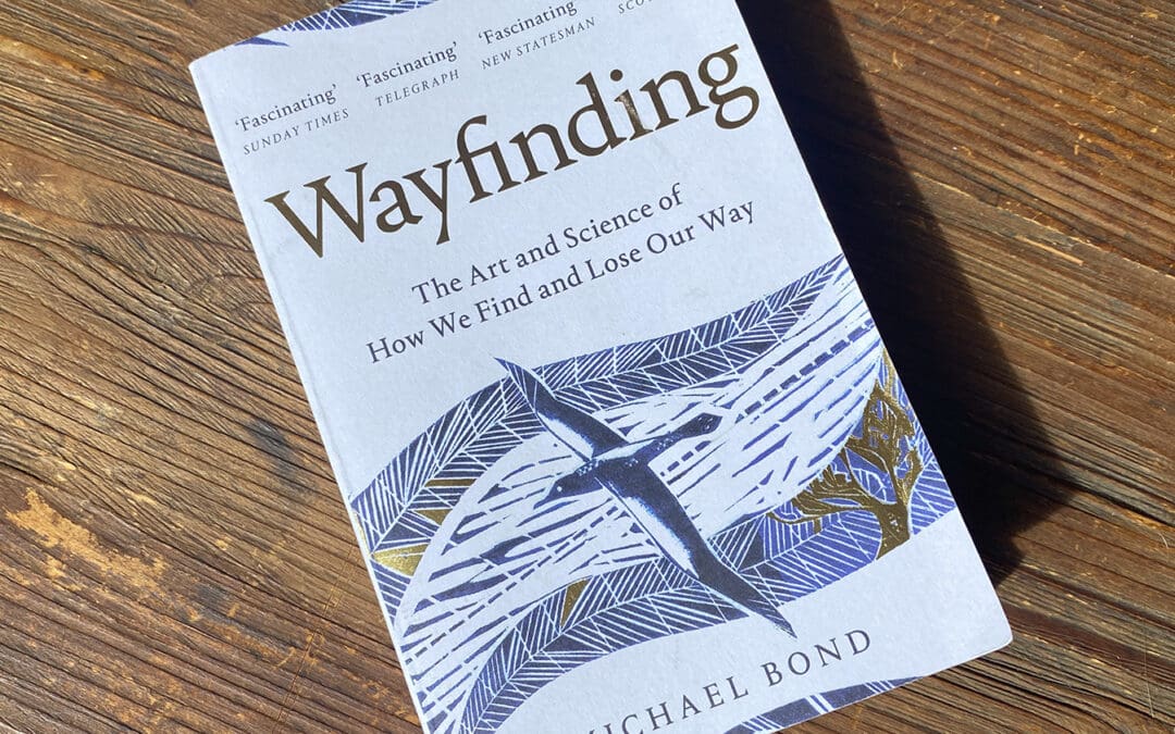 Wayfinding: The Art and Science of How We Find and Lose Our Way